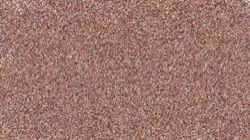 pattern effects :: rippler1b
