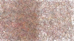 pattern effects :: seaweed1