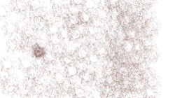 pattern effects :: sprayzze1