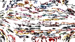 regions auto drawn :: raisednlumpy1