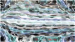 regions mutual drawn :: softopponentgradient2b