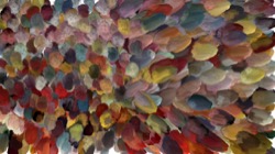 soft effects :: wetfollower4