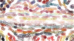 source cloners :: tackycloner1