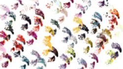 sprays :: dualsprayer1