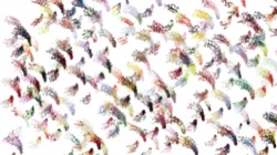sprays :: dualsprayer2