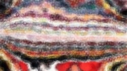 styles :: colouredshader1