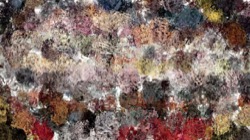 textures :: honeycomb1