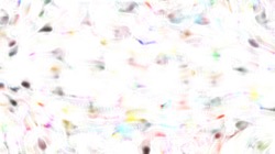 vibrant :: softdirectional1