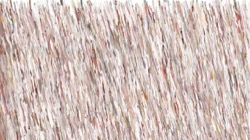 wet :: nibtransparencylatentdripperb