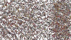 wet :: spattering1