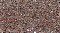 wet :: spattering1b