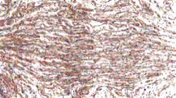 wet :: spletteryliquid1