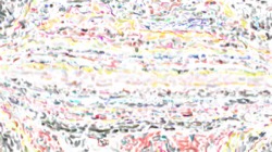 wet :: wet5