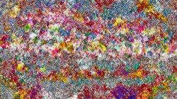 wild ones :: glittertron1