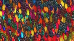 wild ones :: meskalinabstraction1