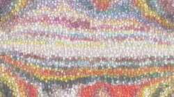 wild ones :: softpatches2