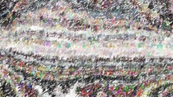 wild ones :: tiltorienttones1