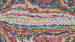 wild ones :: wildcolorpaint1b