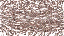 active :: midlumparticledraw