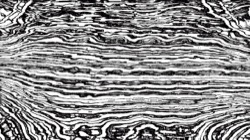 bw hatching :: detailbuildup1
