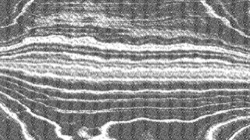 bw hatching :: spiralclrhatch1