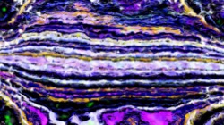 cloners :: alternatereality1b