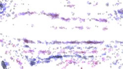 cloners :: damp1