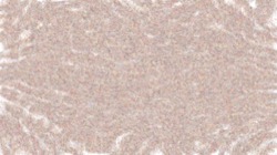 cloners :: lite1