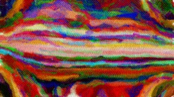 cloners :: triopponsplotchregions