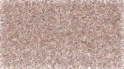 fizzy :: circularfroth1b
