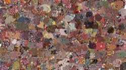 fizzy :: effervescent1