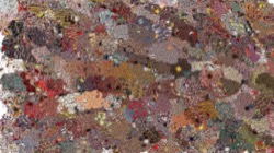 fizzy :: effervescent2