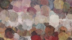 fizzy :: lichenisk1