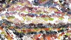 fizzy :: wildsplotch2