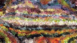 fizzy :: wildsplotch2b