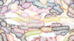 geo src brushes :: geosrcspread4