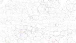 geo src brushes :: liteliquidrimefx1