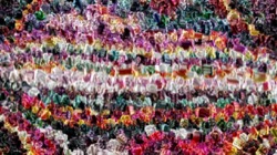 gradient multinibs :: gradienttube1