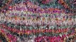 gradient multinibs :: subtle1