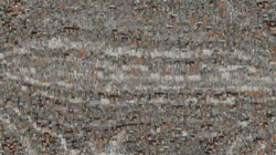 movie brush variations :: naturepatch2