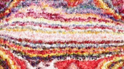 paint :: colouredgefrinestroke1
