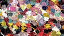 scribblers :: wildsplotch1