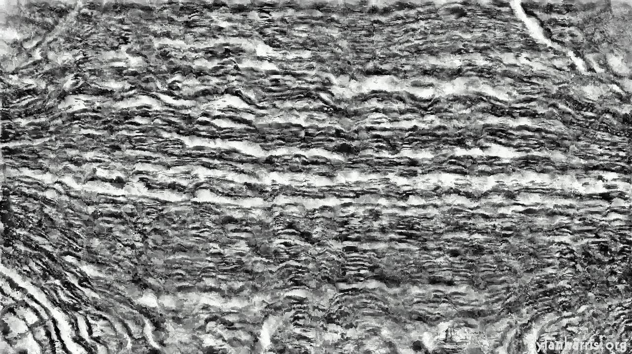 bwsketchy2