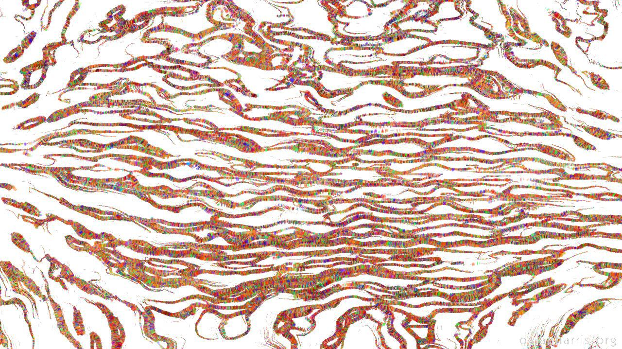edgeoutliner1