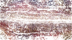 sketch :: edgesplatter1