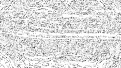 sketch :: pressliteforsketch1