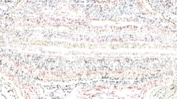 sketch :: pressliteforsketch2