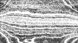 sketch :: rubbing1b