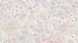 stylistik :: stolotomite1