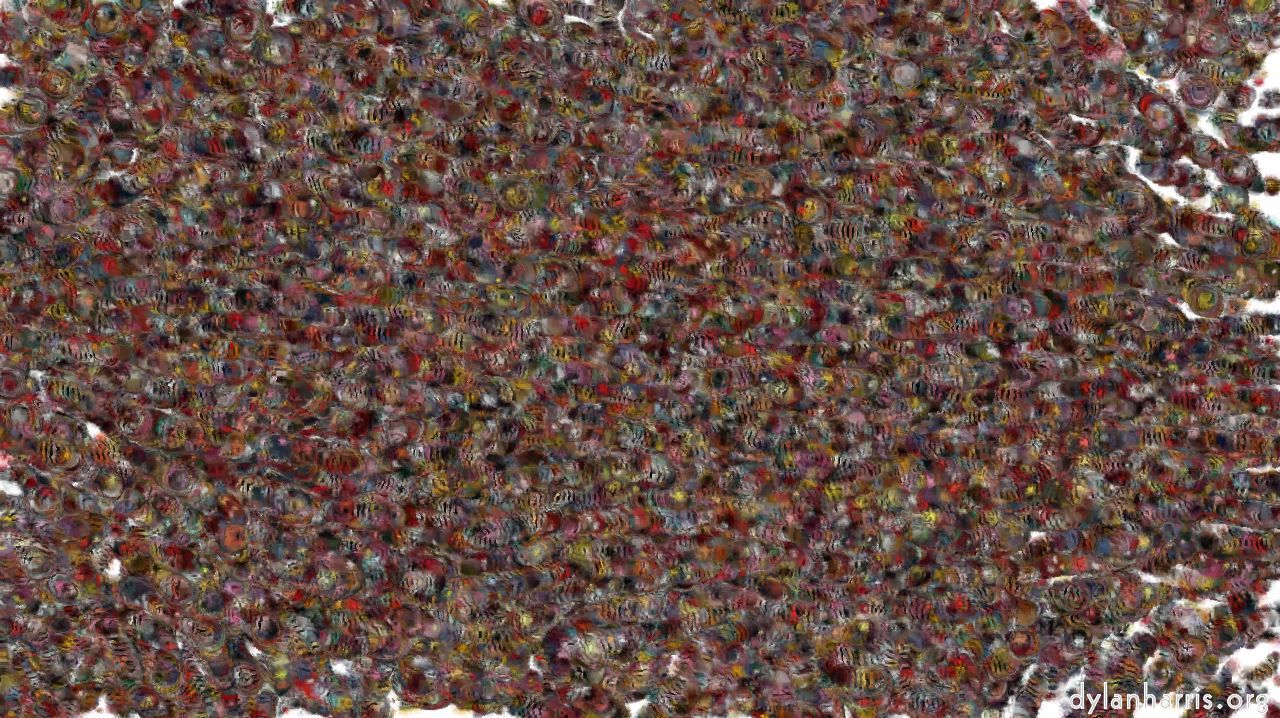 wettigerstripes1